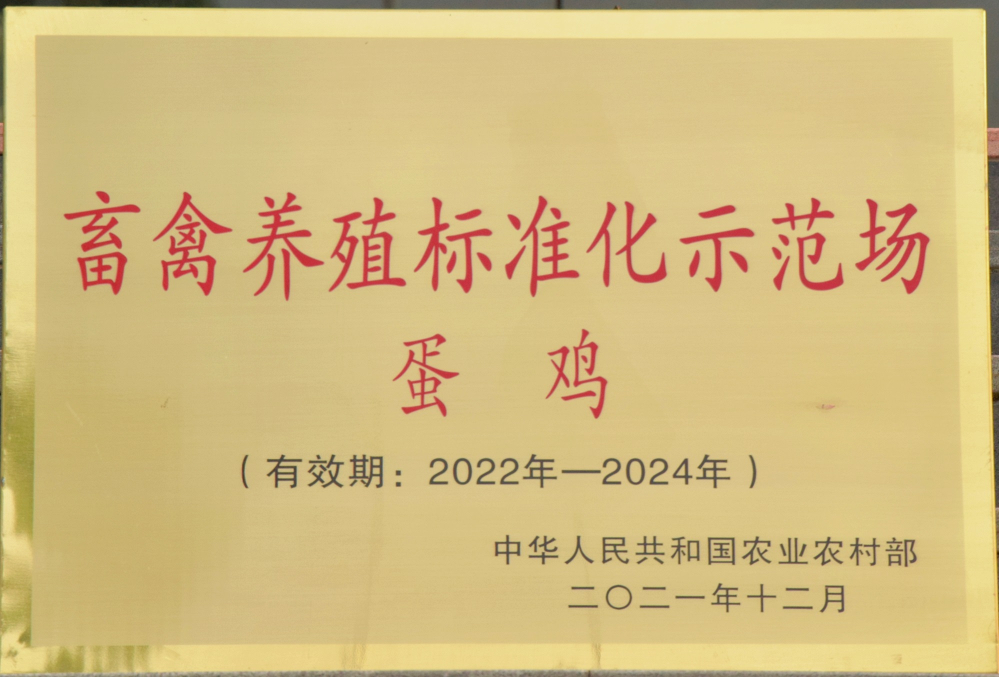 蛋鸡标准化示范场