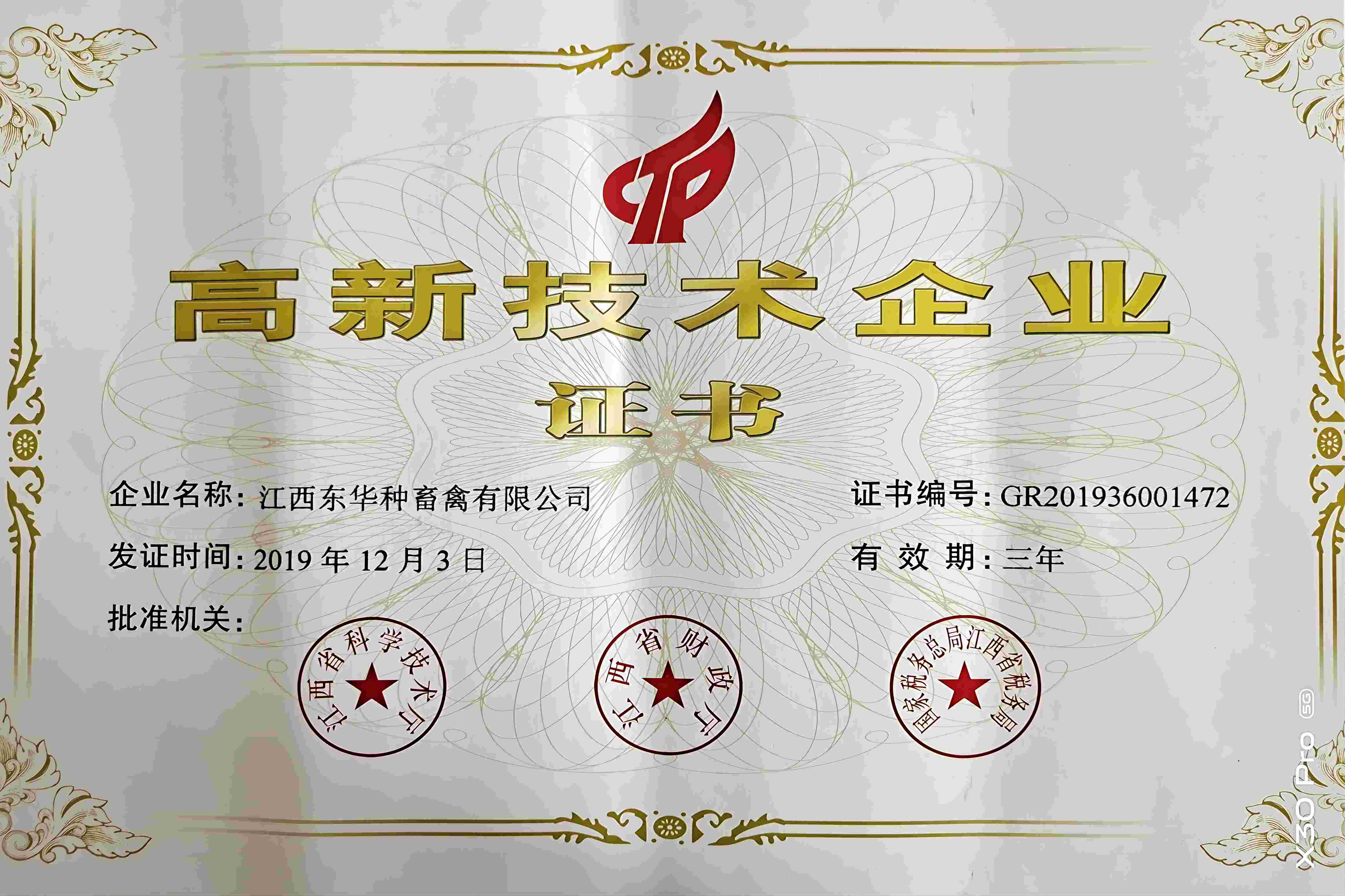 高新技术企业
