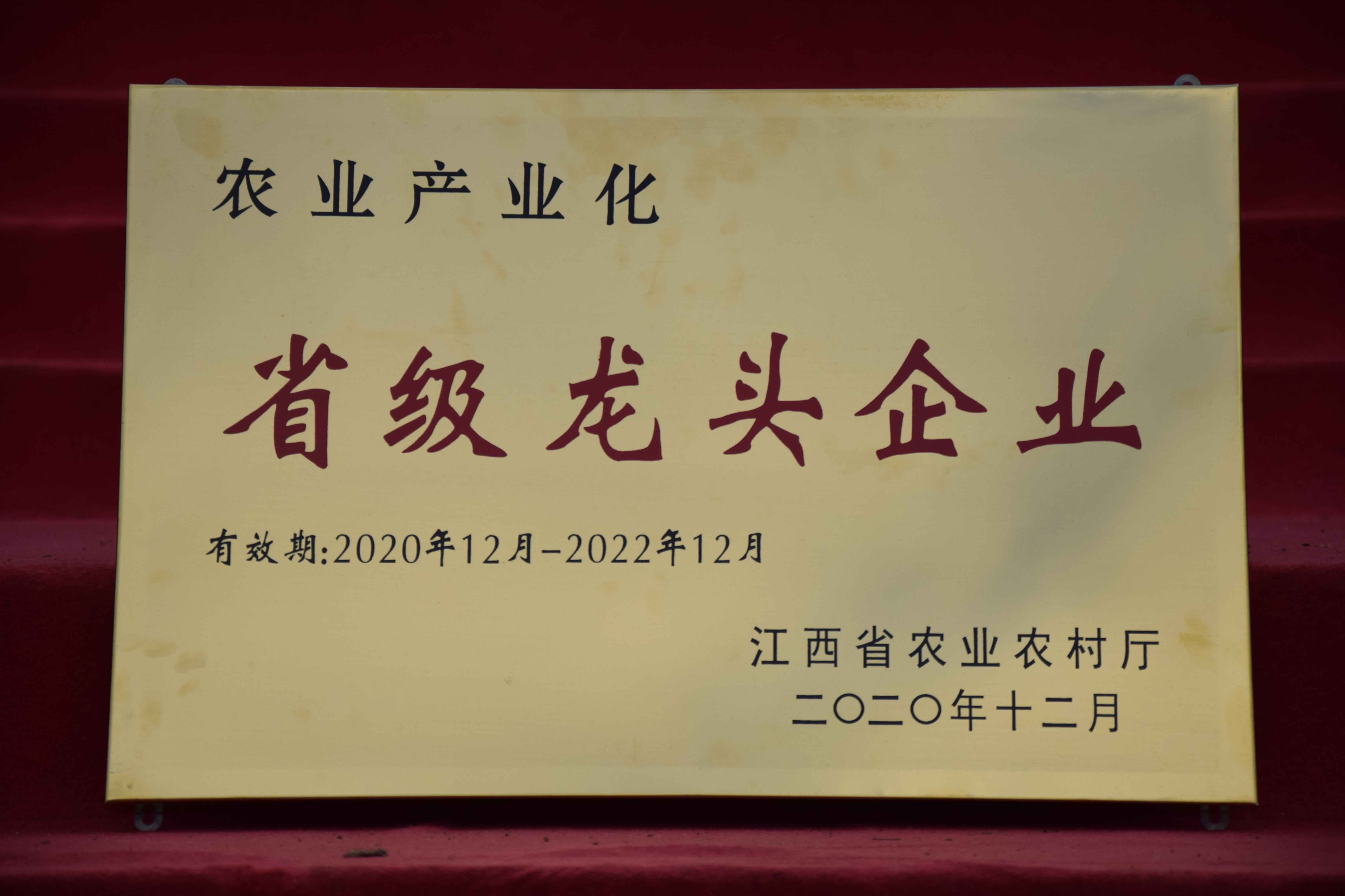 省级龙头企业
