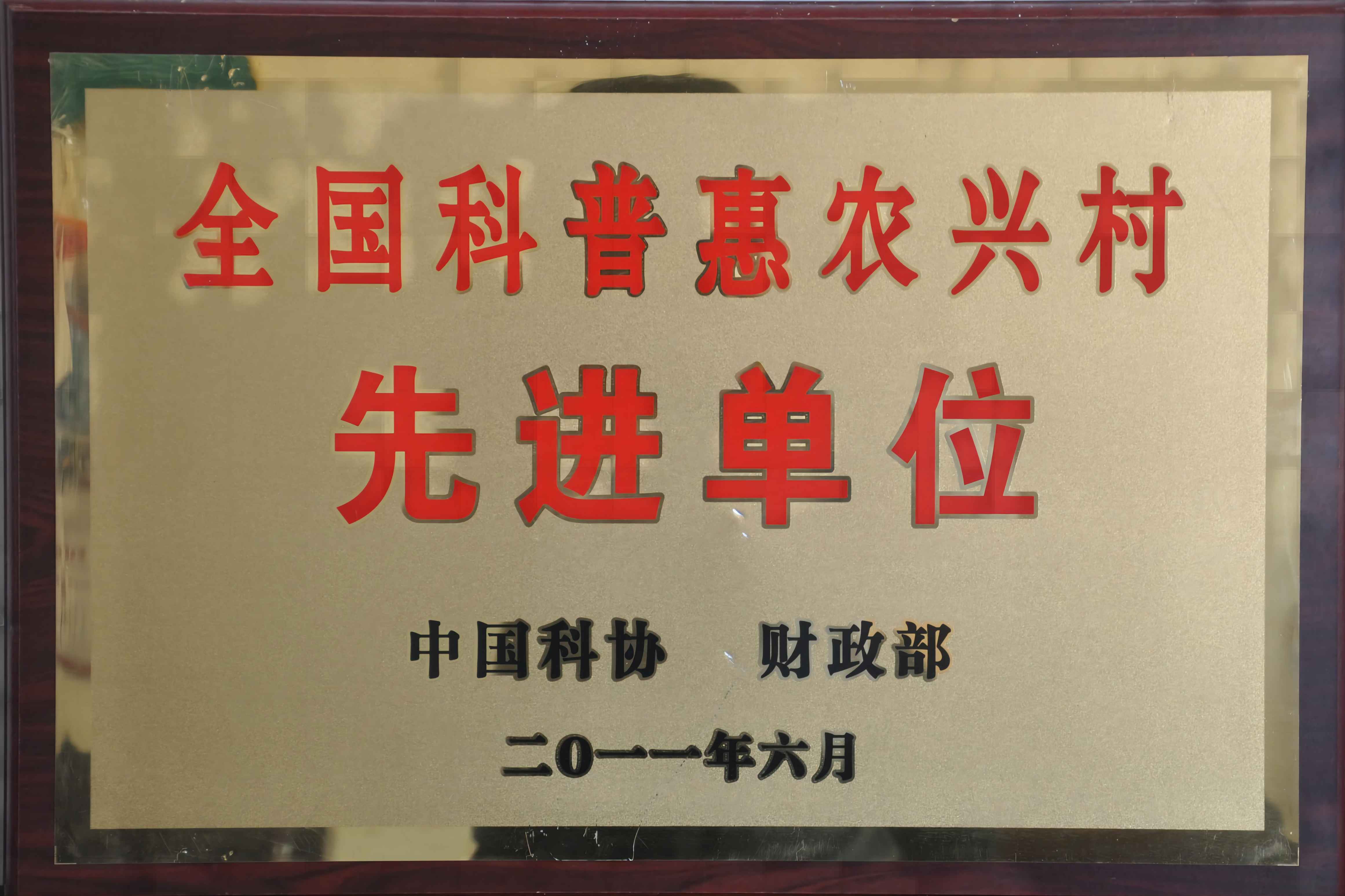 先进单位