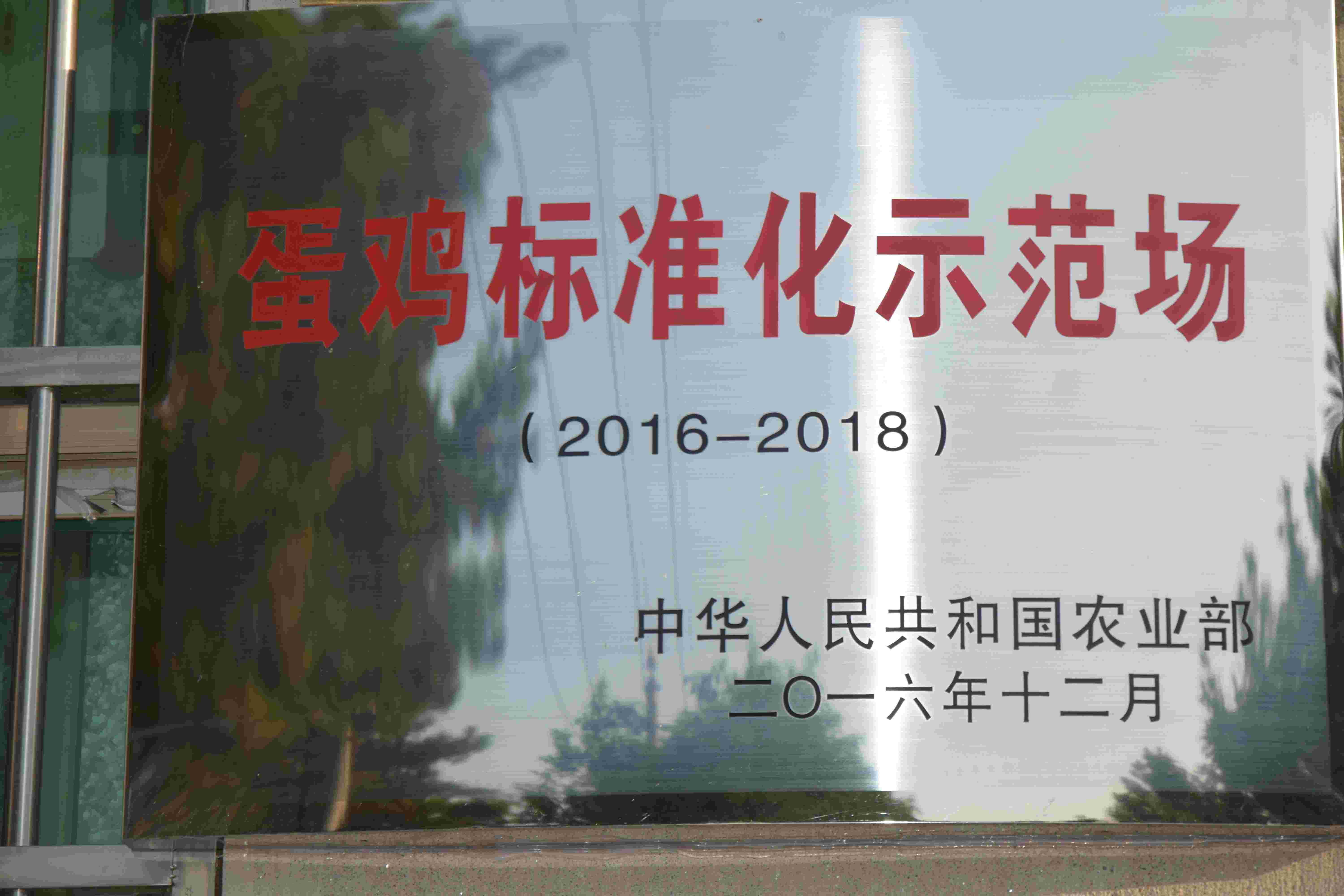 蛋鸡标准化示范场