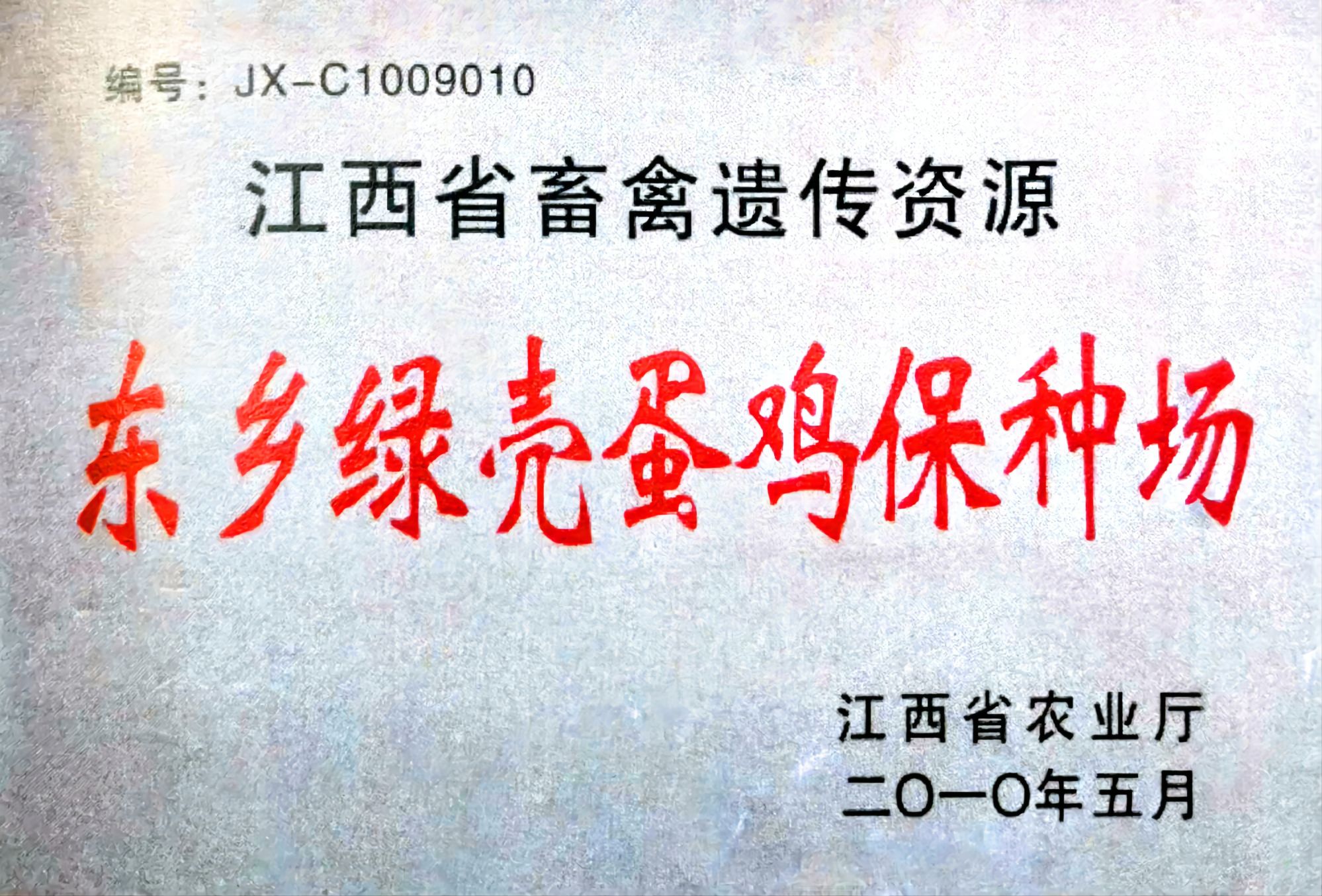 东乡绿壳蛋鸡保种场