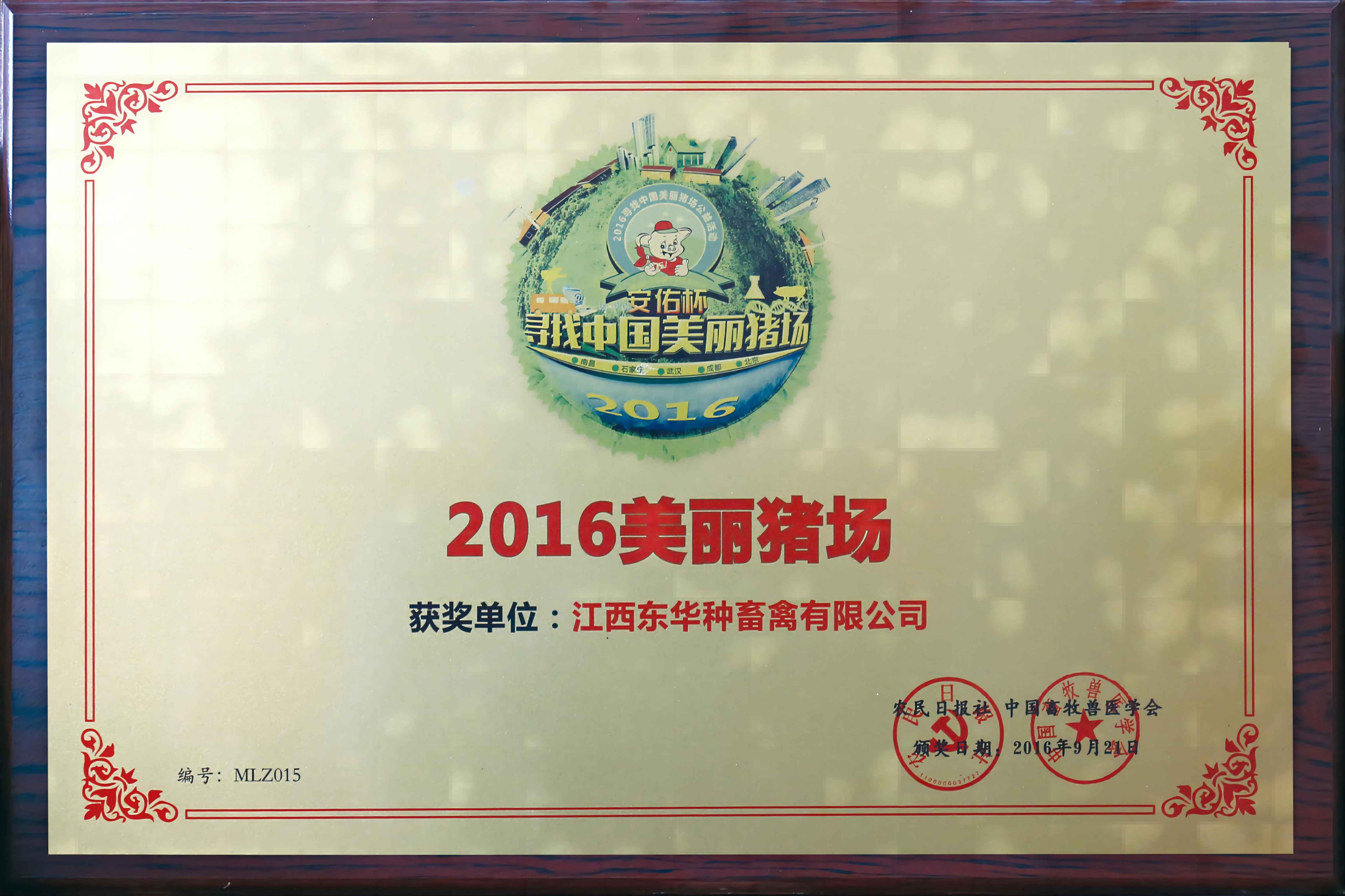 2016美丽猪场