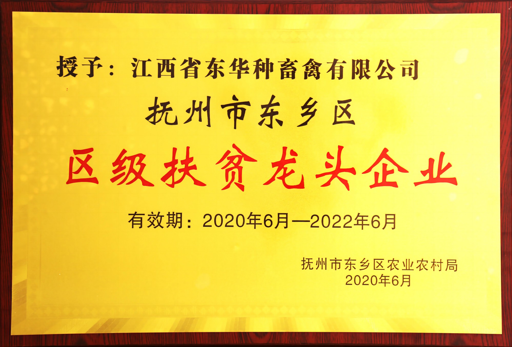 区级扶贫龙头企业